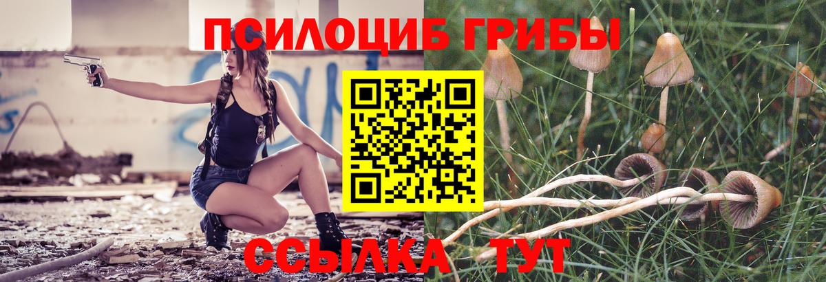 Лиски  Галлюциногенные грибы MAGIC MUSHROOMS  Вход с VPN  Псилоцибиновые грибы Magic Shrooms 