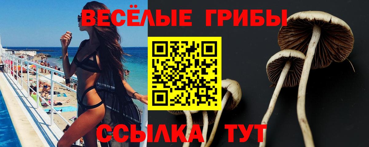 Галлюциногенные грибы GOLDEN TEACHER Лиски